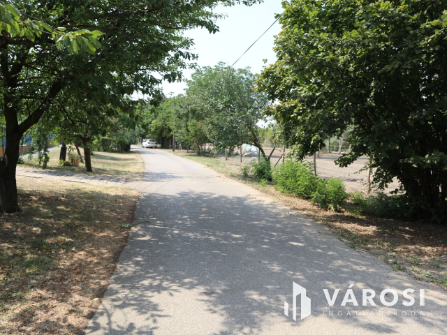 Szőreg kiváló részén, belterületi építési telek! 3