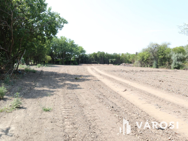 Szőreg kiváló részén, belterületi építési telek! 4