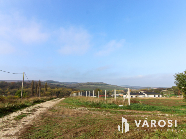 Elvonulni vágyók figyelmébe, panoráma, erdő a szomszéd