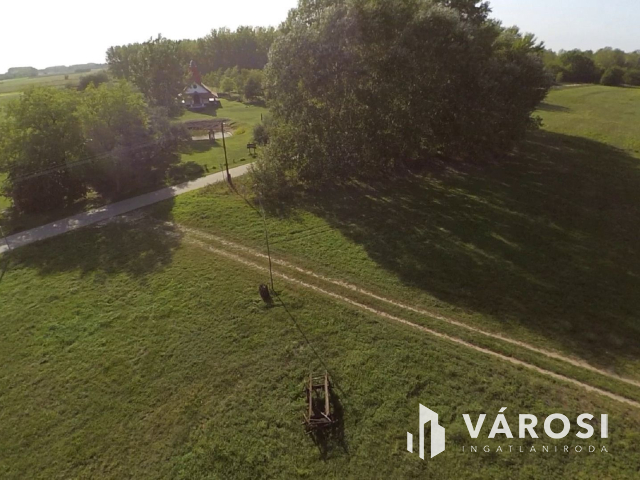 15 hektáros birtok Szegedhez közel