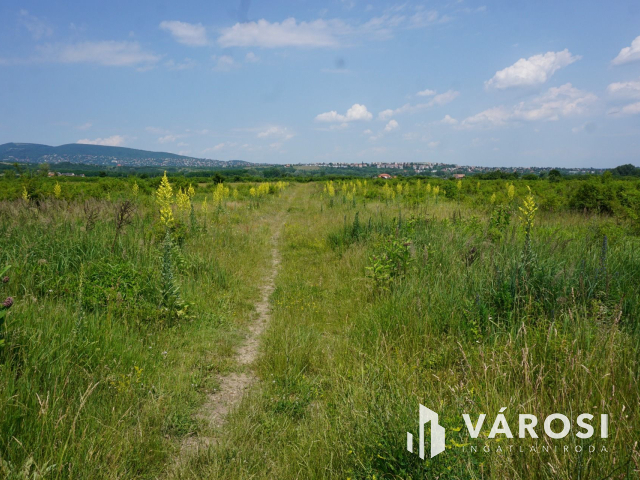 Új parcellázású telkek kerültek a piacra!