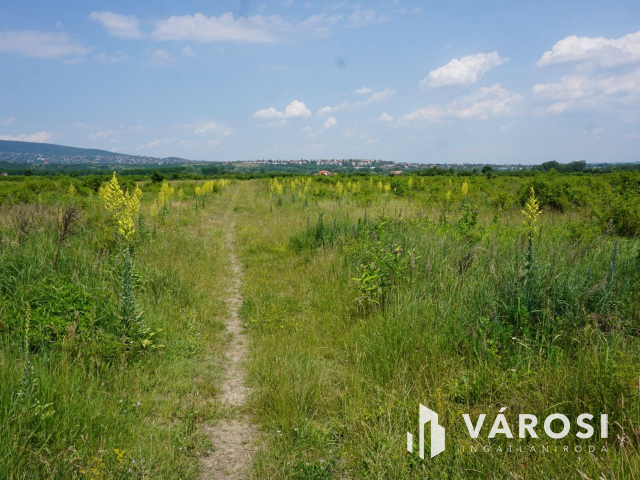 Új parcellázású telkek kerültek a piacra!