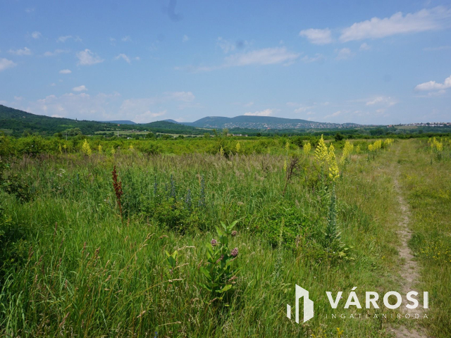 Új parcellázású telkek kerültek a piacra!