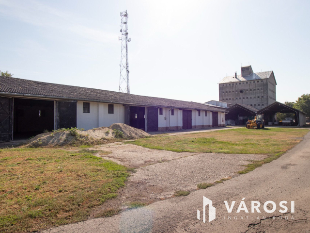 Kiváló adottságú telephely, vasúti iparvágánnyal