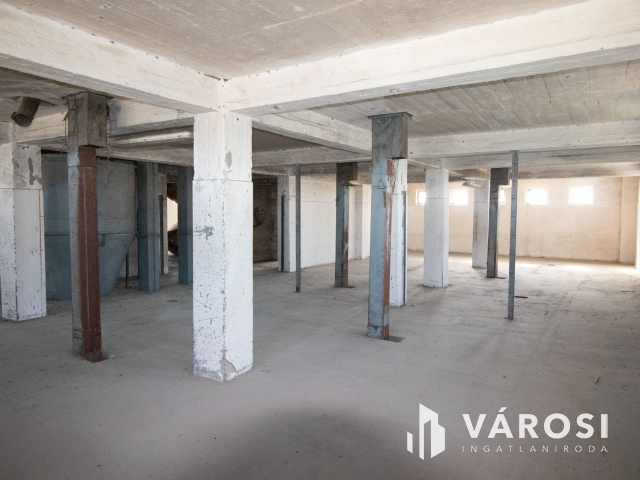 Kiváló adottságú telephely, vasúti iparvágánnyal