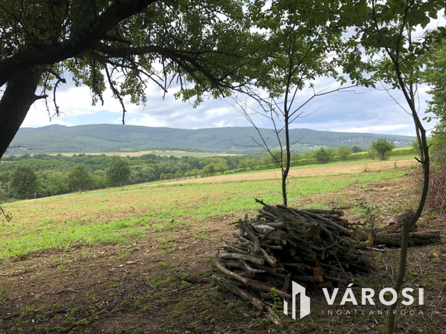 Kőszegdoroszlón örökpanorámás 3 telek, külön v. egyben eladó