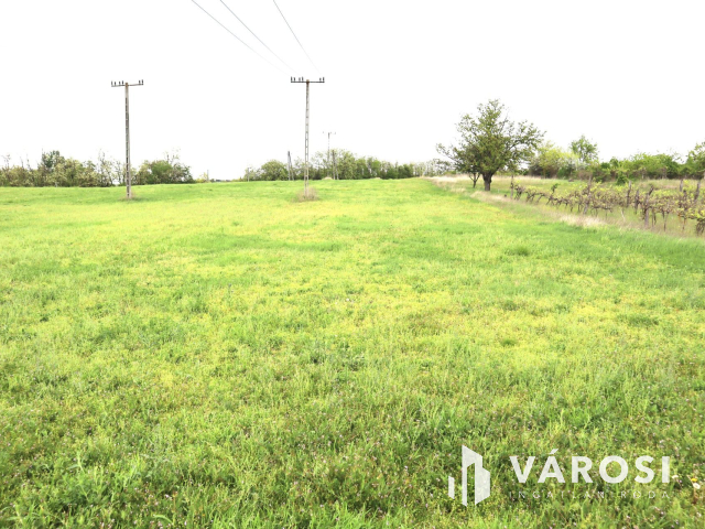 Kőröshegyi telek és szántó együttesen eladó