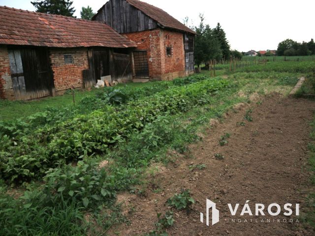 Hegyhátszentpéter gazdálkodásra és lakhatásra alkalmas eladó