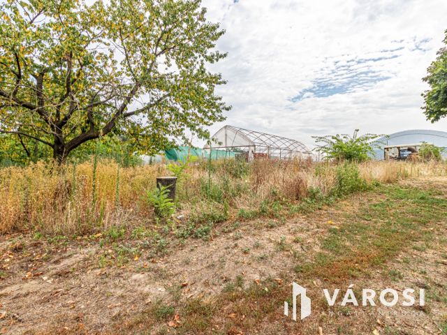 Kihagyhatatlan Befektetési Lehetőség Szegeden, Szőregen!