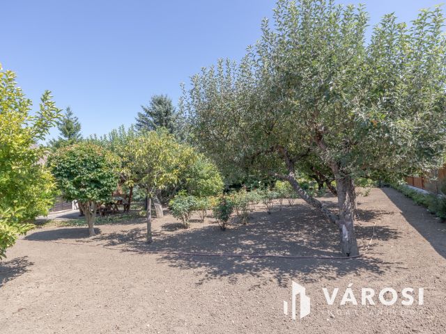 Újszegedi telek kis vendégházzal