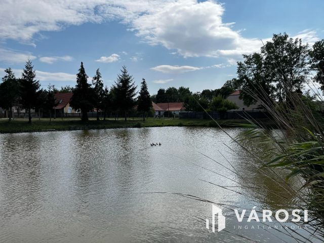 Simaság belterületi horgásztó,engedélyekkel6000m2 eladó!