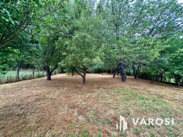 Kiváló adottságú, 3 szobás ikerház eladó!