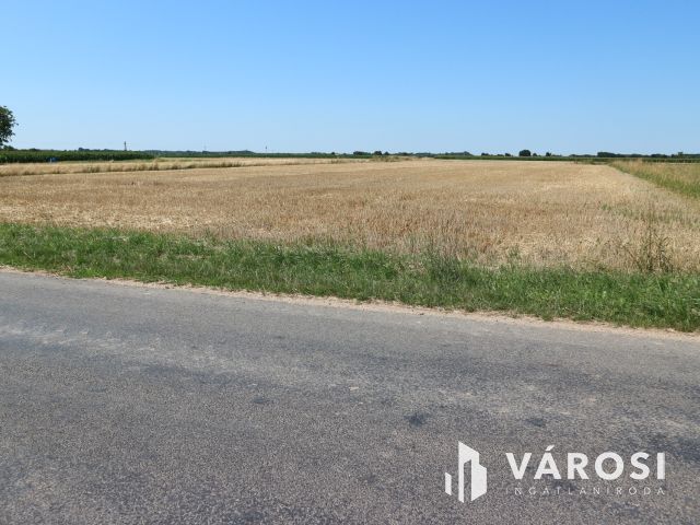 Egyházashollós ,belterületi üres telkek eladók 3x2100m2