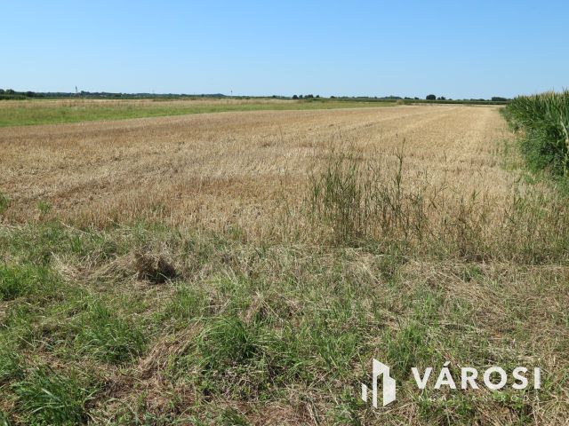 Egyházashollós ,belterületi üres telkek eladók 3x2100m2