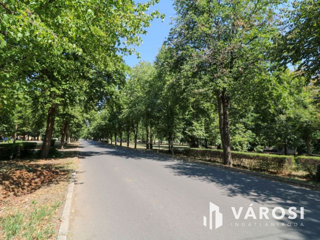 Mezőhegyesen eladó kis ház, jó helyen!