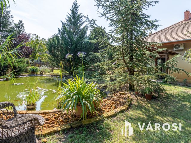 Természetes anyagokból készült családi ház Szatymazon!