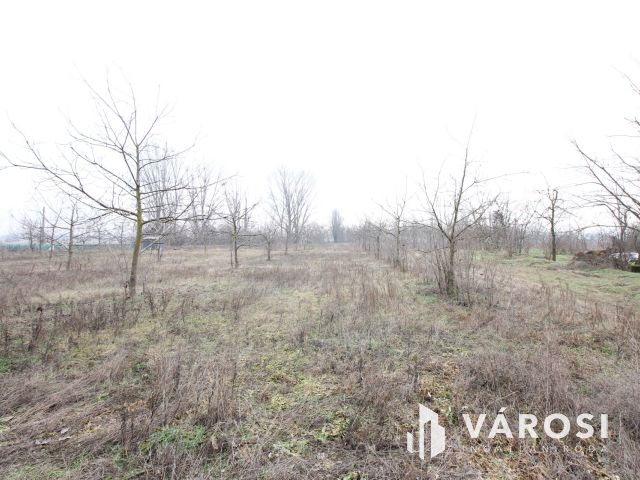 Szeretne passzív jövedelmet dióból?