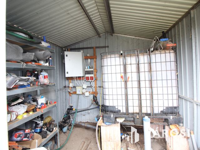 Szeretne passzív jövedelmet dióból?