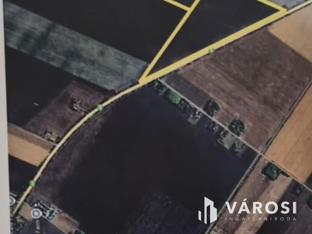 Termőföld az M44-es mentén