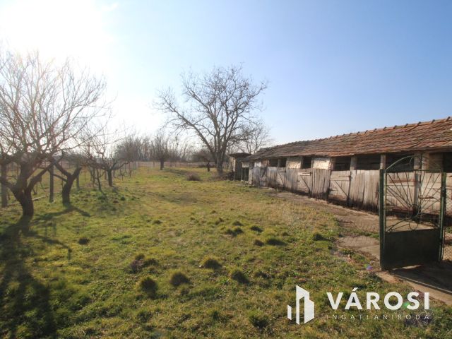 Ház a csend szigetén, Keléden