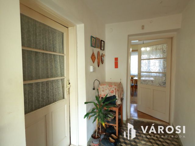 Kis családi fészek