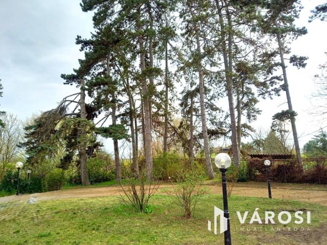 Dunai panorámás villa ősfás parkban Szentendrén