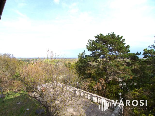 Dunai panorámás villa ősfás parkban Szentendrén