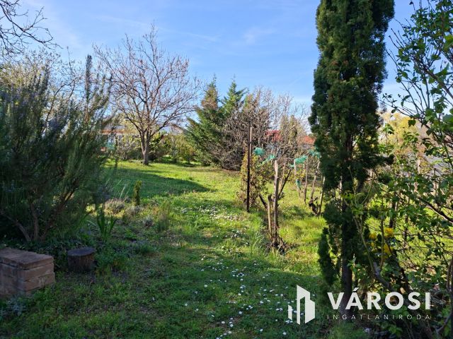 Alsóörsi retro nyaraló eladó