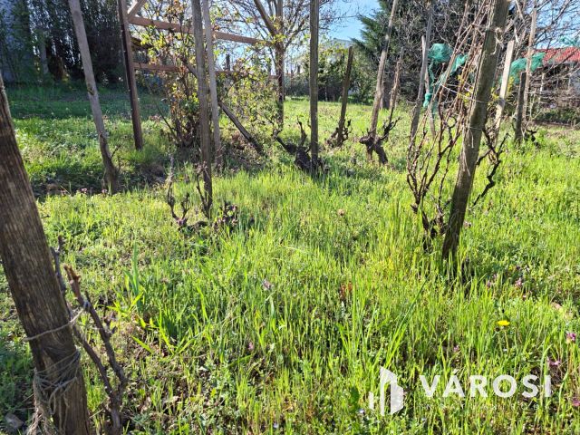 Alsóörsi telek rajta kicsi házzal eladó