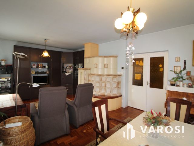 Családi ház zöldövezetben a Kurca partján