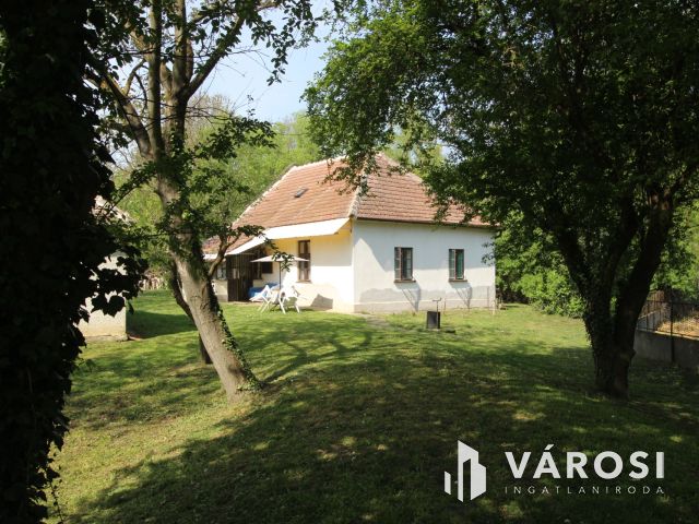 Csend, béke, madárfütty