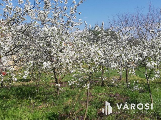 Napelemes családi ház + külön lakóegység Noszlopon