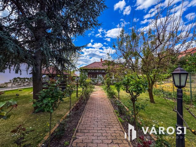 Napfényes belvárosi ház mindenhez közel