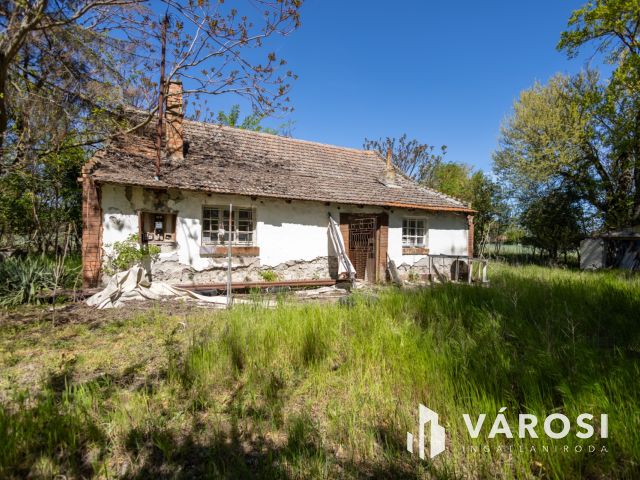 Eperfák árnyékában