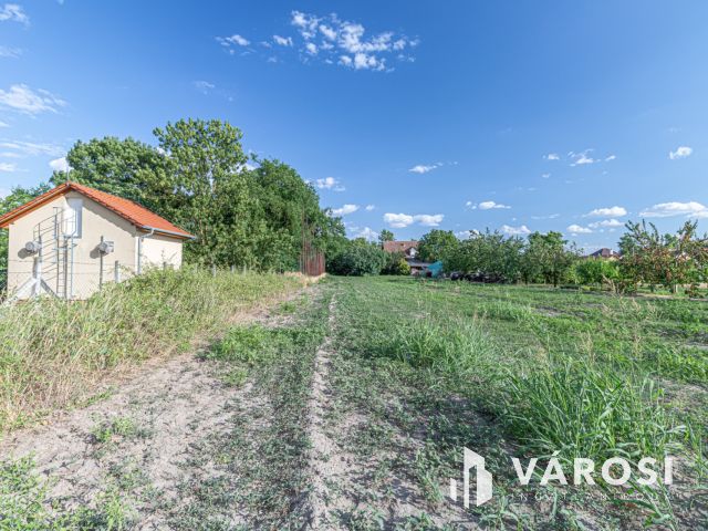 Eladó építési telek Deszk központi részén
