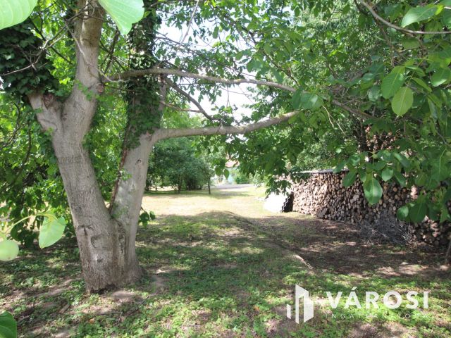 Egyedi adottságú telek Sárvár-hegyközségben